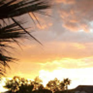 Meet your Posher, Leila